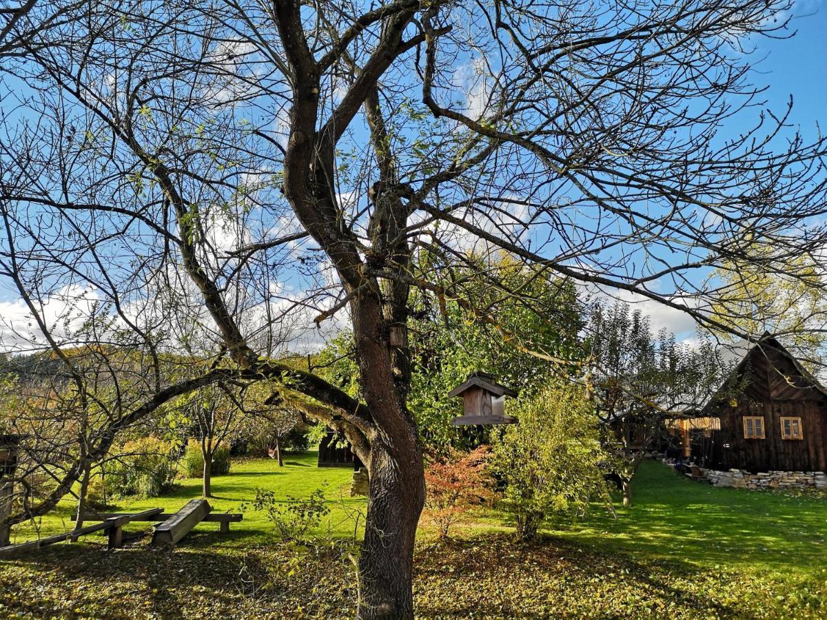 Apartmany Cerveny Dvur Chvalsiny Exterior photo